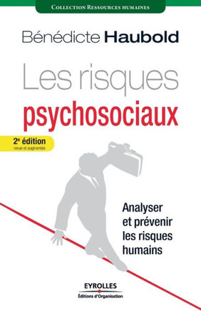 Les risques psychosociaux: Analyser et pr?venir les risques humains