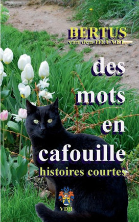 Des Mots en Cafouille: Tome 1: histoires courtes