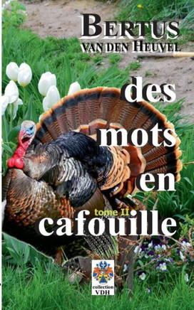 Des mots en cafouille II: histoires courtes
