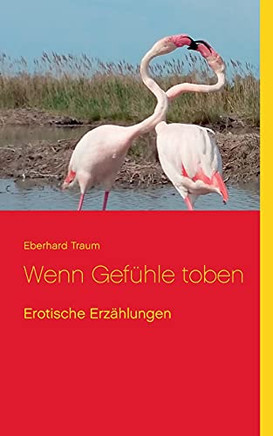 Wenn Gef??Hle Toben: Erotische Erz?Ñhlungen (German Edition)