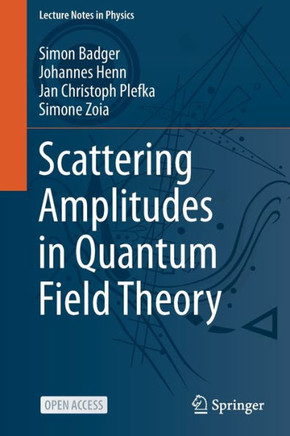 Scattering Amplitudes in Quantum Field Theory
