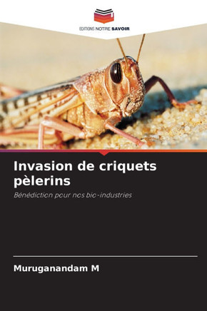 Invasion de criquets p?lerins
