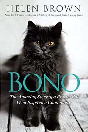 Bono: The Amazing Story Of A Rescue Cat Who Inspired A Community