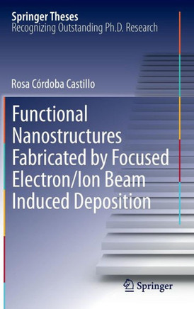Functional Nanostructures Fabricated by Focused Electron/Ion Beam Induced Deposition