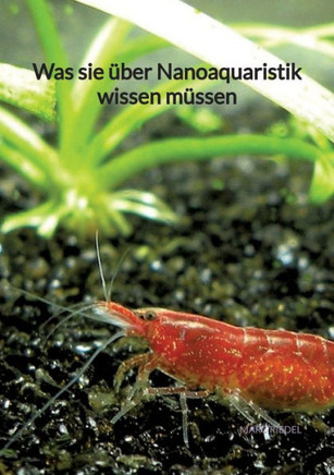Was sie ?ber Nanoaquaristik wissen m?ssen