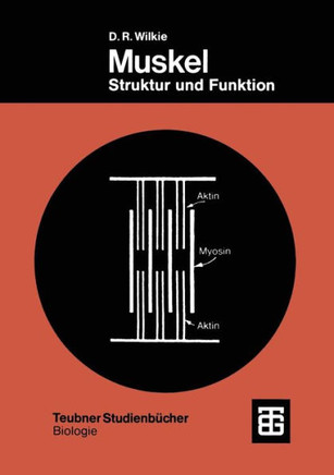 Muskel: Struktur Und Funktion Muskel: Struktur Und Funktion