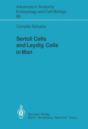 Sertoli Cells and Leydig Cells in Man