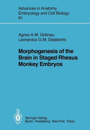 Morphogenesis of the Brain in Staged Rhesus Monkey Embryos