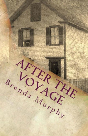 After The Voyage: An Irish American Story
