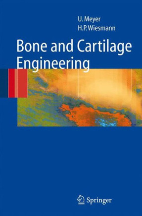 Bone and Cartilage Engineering