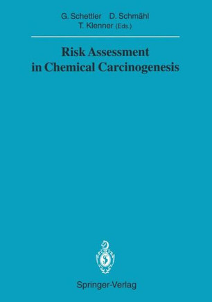 Risk Assessment in Chemical Carcinogenesis