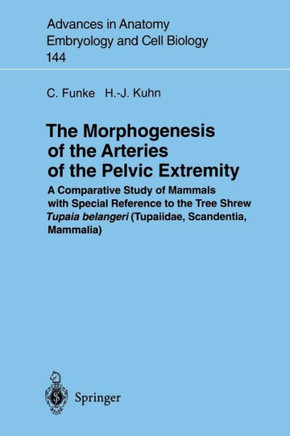 The Morphogenesis of the Arteries of the Pelvic Extremity: A Comparative Study of Mammals with Special Reference to the Tree Shrew Tupaia Belangeri (T