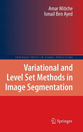 Variational and Level Set Methods in Image Segmentation