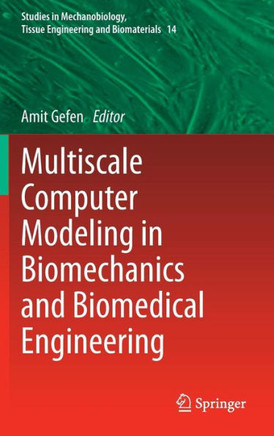 Multiscale Computer Modeling in Biomechanics and Biomedical Engineering