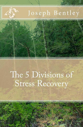 The 5 Divisions Of Stress Recovery