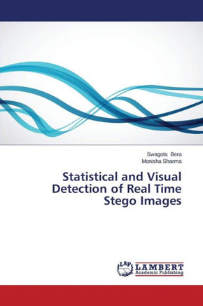 Statistical and Visual Detection of Real Time Stego Images
