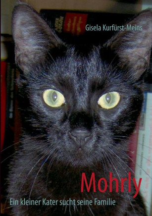 Mohrly: Ein kleiner Kater sucht seine Familie