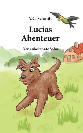 Lucias Abenteuer: Der Unbekannte Sohn