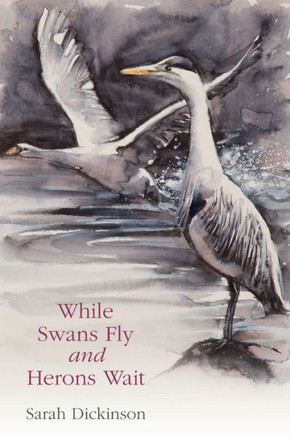 While Swans Fly And Herons Wait