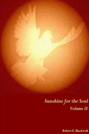 Sunshine for the Soul Volume II