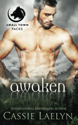 Awaken: Wolves Of Timber Falls (Small Town Packs)