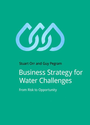 Business Strategy for Water Challenges: From Risk to Opportunity