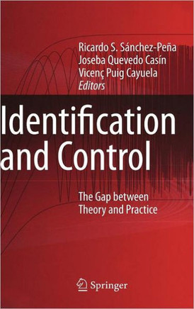 Identification and Control: The Gap Between Theory and Practice