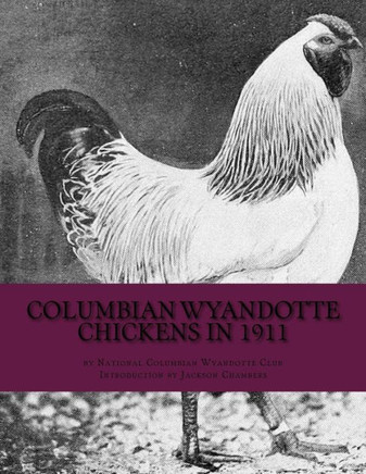 Columbian Wyandotte Chickens In 1911