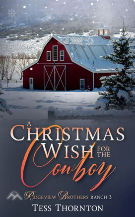 A Christmas Wish for the Cowboy: Ridgeview Brothers Ranch Book 3