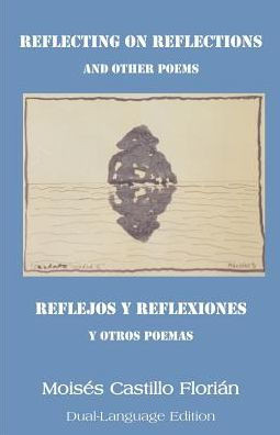 Reflecting on Reflections