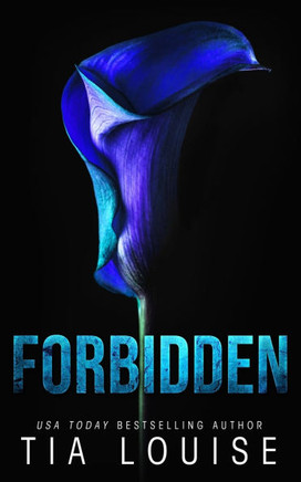 Forbidden: A small-town, professor-student romance.