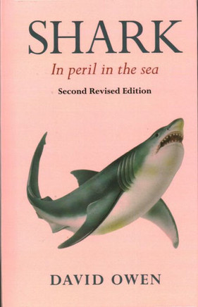 Shark: In peril in the sea