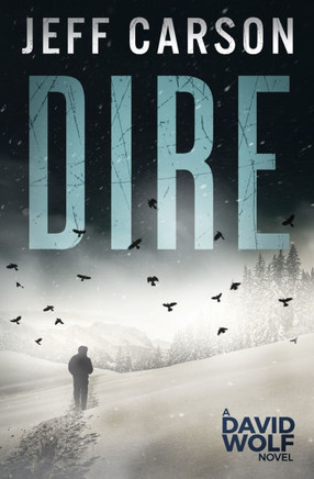 Dire: David Wolf Mystery Thriller Series