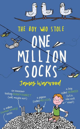 The Boy Who Stole One Million Socks: a brilliantly funny children's book to inspire young eco-warriors