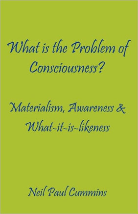 What is the Problem of Consciousness?: Materialism, Awareness & What-it-is-likeness