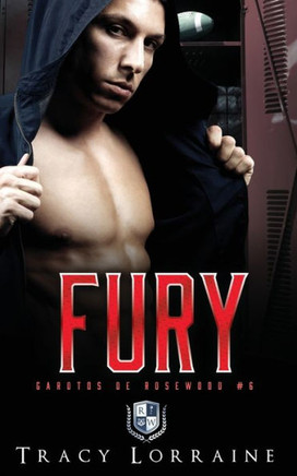 Fury: Romance dark e bully de ensino m??io