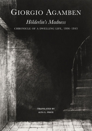 H??derlin's Madness: Chronicle of a Dwelling Life, 1806-1843