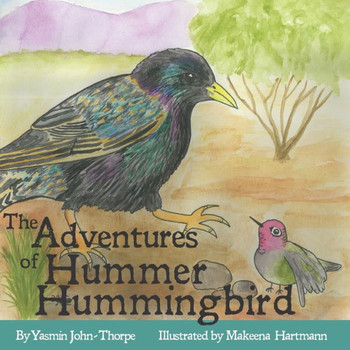 The Adventures Of Hummer Hummingbird