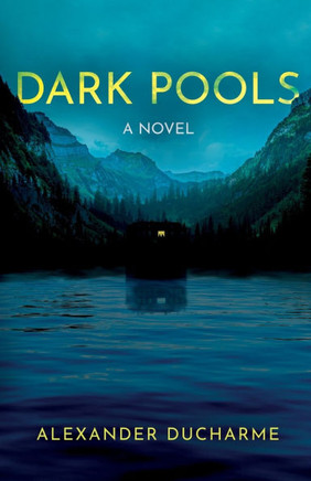 Dark Pools