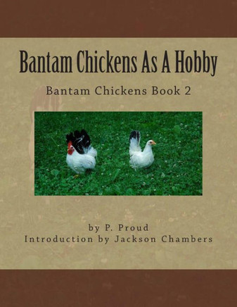 Bantam Chickens As A Hobby