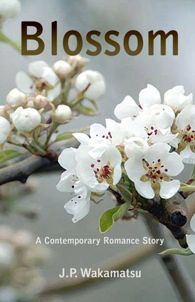 Blossom: A Contemporary Romance Story