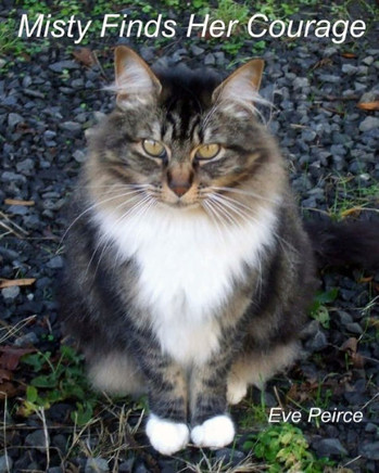 Misty Finds Her Courage