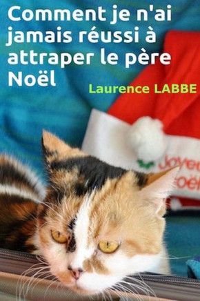 Comment je n'ai jamais r?ussi ? attraper le p?re No?l