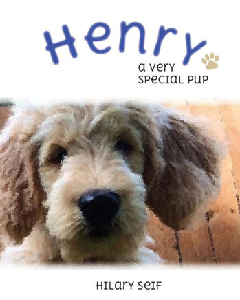 Henry: A Special Pup