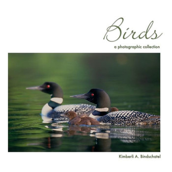 Birds: a photographic collection Birds: a photographic collection