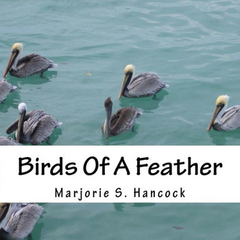 Birds Of A Feather: Book of poems for young readers. Each poem gives a fact about the bird in the poem.