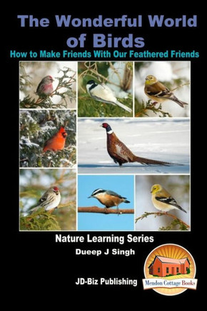 The Wonderful World of Birds - How to Make Friends With Our Feathered Friends