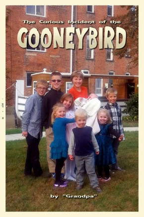 The Curious Incident of the Gooneybird