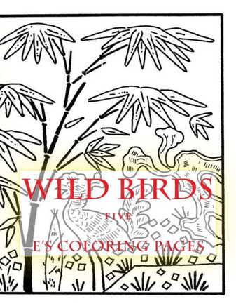 WILD BIRDS five