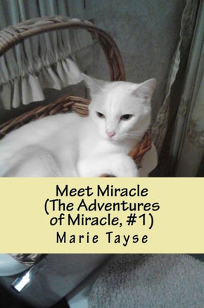 Meet Miracle: (The Adventures of Miracle, Volume 1)